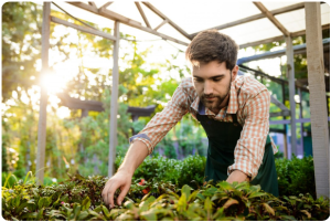 Landscape Gardener in North London
