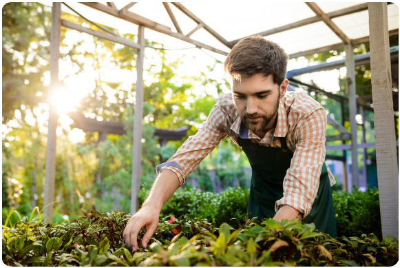 Landscape Gardener in North London